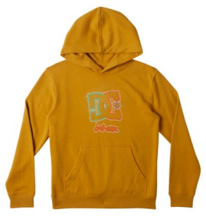 Mikina s Kapucnou DC Shoes New Deals Pullover Detske Žlté | DC-7632940