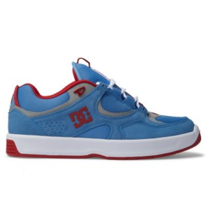 Skate Topanky DC Shoes Kalynx Zero S Panske Červené Modre | DC-2094573