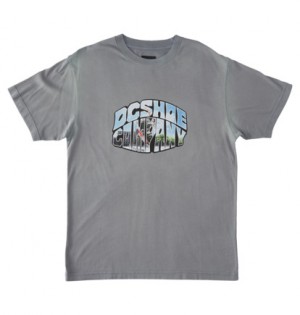 Tricko DC Shoes Citywide Panske Modre Siva | DC-9607831