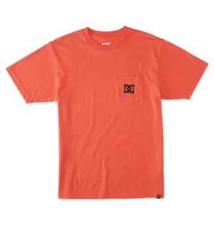 Tricko DC Shoes DC Star Pocket Panske Koralove | DC-0274863