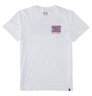 Tricko DC Shoes Explorer Panske Biele | DC-2360589