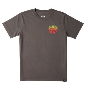 Tricko DC Shoes Fire 94 Short Sleeves Detske Tmavo Siva | DC-7280439