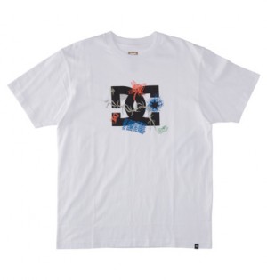 Tricko DC Shoes Scribble Panske Biele | DC-3475801
