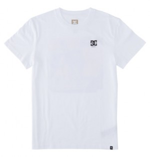 Tricko DC Shoes Statewide Panske Biele | DC-8054236